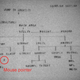 Illustration for article titled Why Your Mouse Cursor Is Slanted Instead of Straight